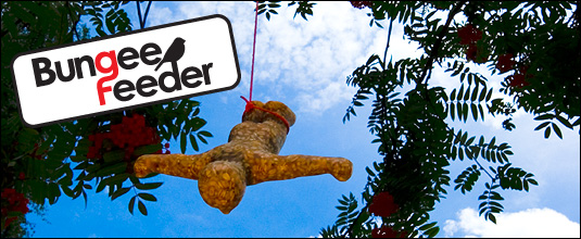 Bungee Jumper Bird Feeder
