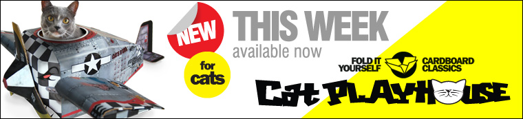 cat Play House