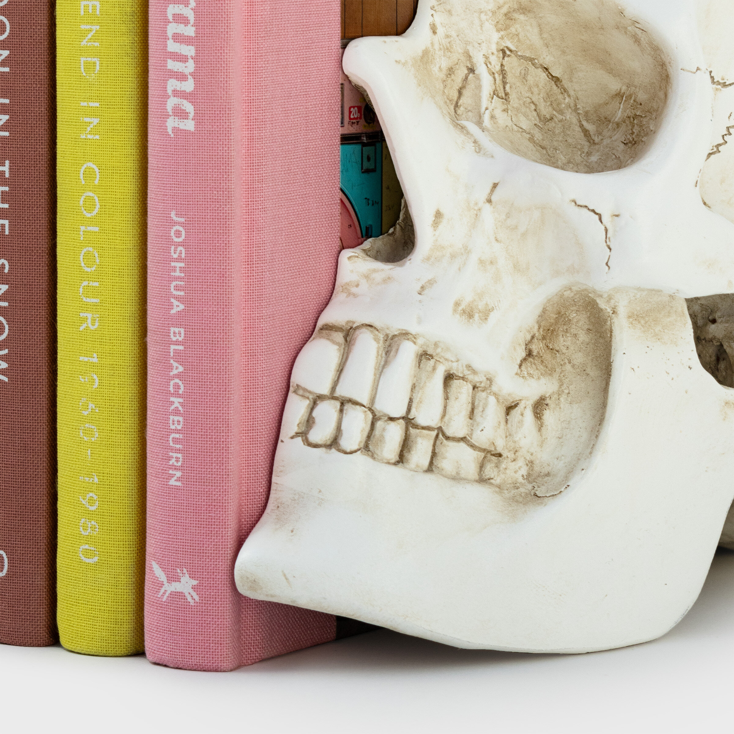 book ends of half a skull close texture